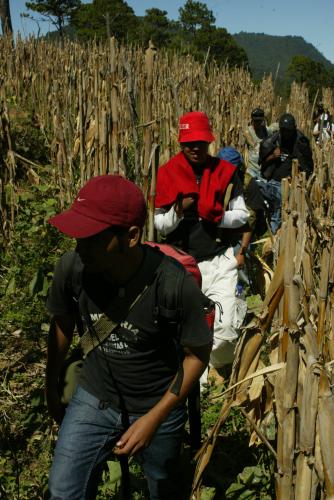 Minesvandringen gick över...