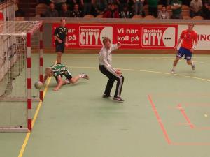 Hammarby - Lindesberg 53-40 onsdagen den 15 november 2006