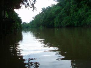 Río Sabalo