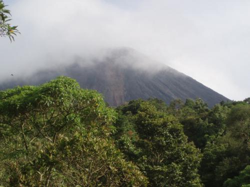 Pacaya från distans