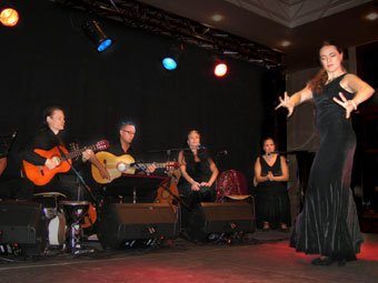 flamenca.blogg.se